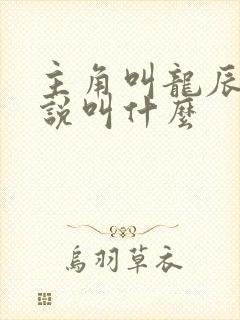 主角叫龙辰的小说叫什么