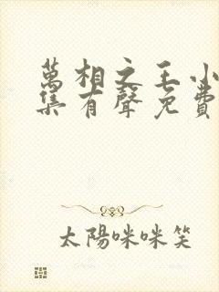 万相之王小说全集有声免费听