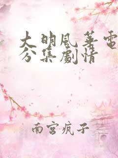 大明风华电视剧分集剧情