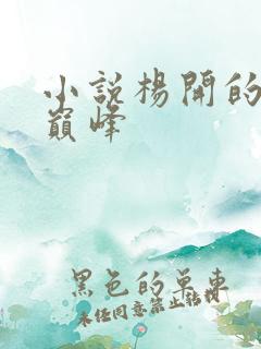 小说杨开的武炼巅峰