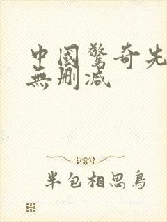 中国惊奇先生 无删减
