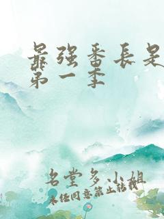 最强番长是少女第一季