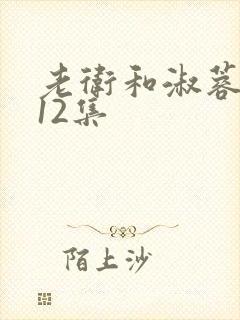 老卫和淑蓉7—12集