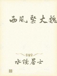 西风紧大魏芳华