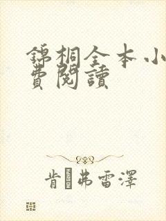 锦桐全本小说免费阅读