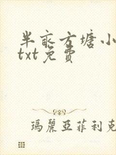 半亩方塘小说网txt免费