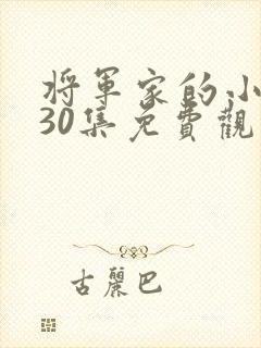 将军家的小娘子30集免费观看