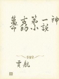 万古第一神李天命的小说
