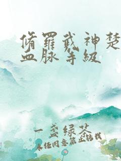 修罗武神楚枫的血脉等级