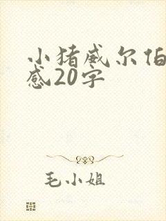 小猪威尔伯读后感20字