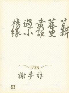 杨过黄蓉荒岛情缘小说更新时间