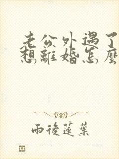 老公外遇了我不想离婚怎么办