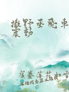 撒野丞飞车道具震动