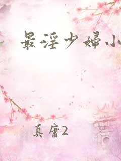 最淫少妇小说