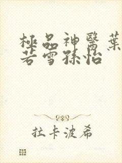 极品神医叶辰夏若雪孙怡