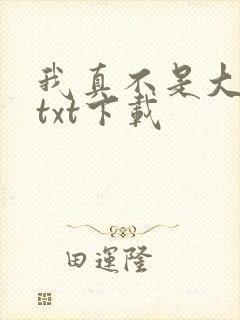 我真不是大佬 txt下载