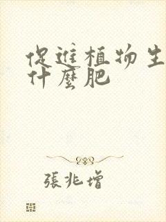 促进植物生根用什么肥