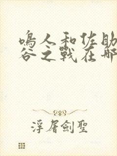 鸣人和佐助终结谷之战在哪一集