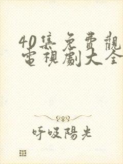 40集免费观看电视剧大全