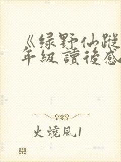 《绿野仙踪》三年级读后感
