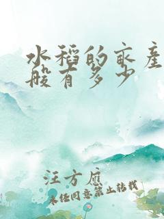 水稻的亩产量一般有多少