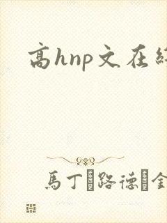 高hnp文在线