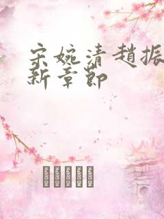 宋婉清赵振国最新章节