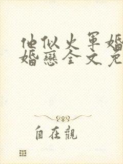 他似火军婚高干婚恋全文免费阅读