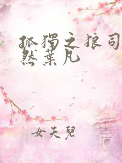 孤独之狼司空嫣然叶凡