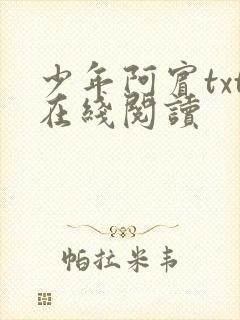 少年阿宾txt在线阅读