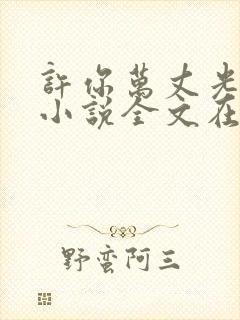 许你万丈光芒好小说全文在线阅读