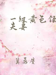 一级黄色录像片夫妻