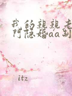 我的亲亲老婆豪门隐婚aa制