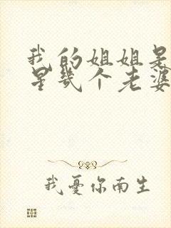 我的姐姐是大明星几个老婆