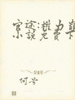 官途:权力巅峰小说免费下载
