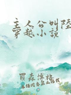 主人公叫陆羽的穿越小说