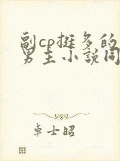副cp挺多的双男主小说同人文