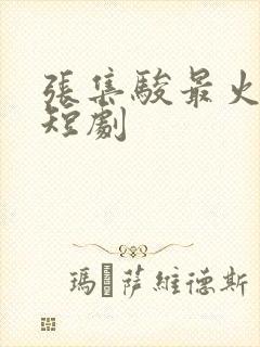张集骏最火十部短剧