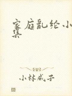 家庭乱纶小说全集