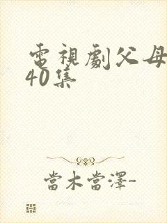 电视剧父母爱情40集