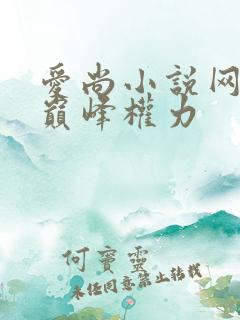 爱尚小说网官声巅峰权力