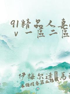 91精品人妻aⅴ一区二区