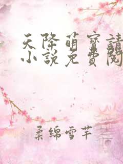 天降萌宝请接招小说免费阅读