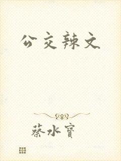 公交辣文