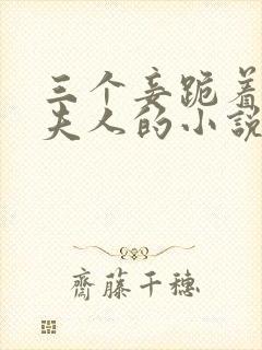 三个妾跪着伺候夫人的小说叫什么