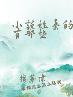 小说姓秦的男主有哪些