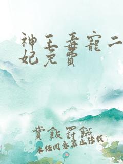 神王毒宠二嫁王妃免费