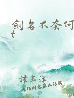 剑名不奈何txt