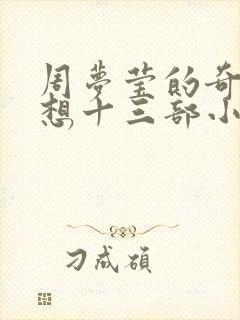 周梦莹的奇思妙想十三部小说