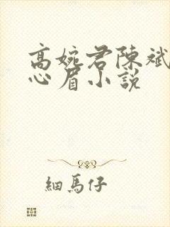 高婉君陈斌和赵心眉小说